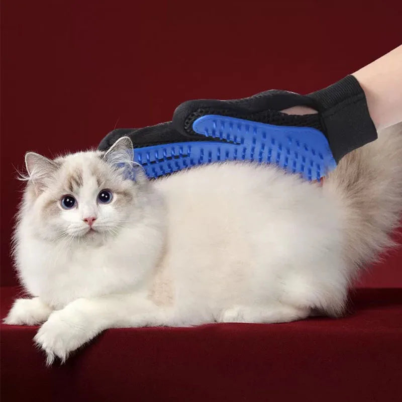 Blue pet grooming glove being used on a cat
